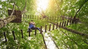 Tickets, tours, address, phone number, zemplen kalandpark reviews: Top 5 Kalandpark Magyarorszag Sobri Joska Kalandpark Zemplen Kalandpark Es Sokan Masok Hellovidek