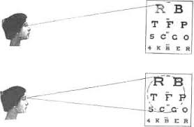 Image result for Visual Fixation