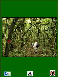 Image result for Rubus kirungensis