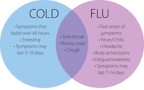 Colds And Flu Whats The Difference Family Health Diary