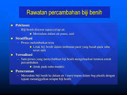 Untuk meningkatkan viabilitas benih aren (arenga. Pembiakan Tanaman Hiasan Ppt Download