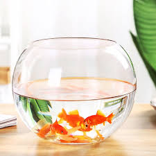 With vase market's wholesale glass bubble bowl vases comes an opportunity to acquire a stunning collection of centerpiece vases in bulk for an amazing affordable discounted price. 10 35cm Round Clear Glass Vase Fish Tank Ball Bowl Flower Planter Terrarium Home Pet Supplies Aquariums Tanks