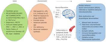 Some people with asd have a known difference, such as a genetic condition. Rational Use Of Mesenchymal Stem Cells In The Treatment Of Autism Spectrum Disorders