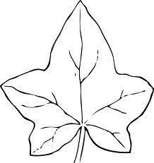 Check spelling or type a new query. Szablon Lisc Dyni Leaf Coloring Page Leaf Drawing Clip Art