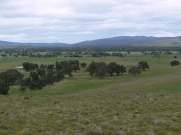 Sold 1 Easter Brooks Lane, Elmhurst VIC 3469