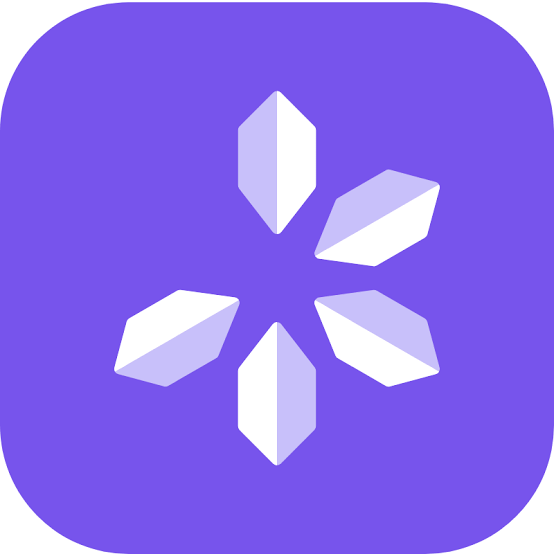 SnowSEO Coupons and Promo Code