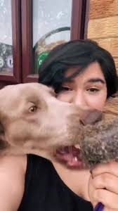 This weekends doggies having a pee break and run around in the garden 🏡