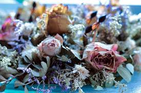 Check spelling or type a new query. Blog Dried Flower Decor By Lily S Florist Australia