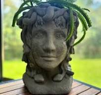 Maceta con cabeza de medusa (4 colores): Maceta de piedra ...