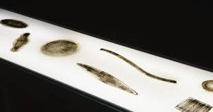 Bildergebnis für Genc Kadriu