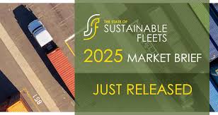 Image result for Tan 2025 Fleet