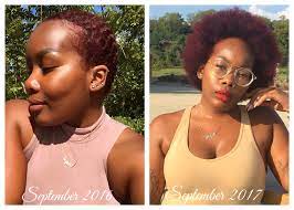 Natural Hair Update New Blog Post Life After Big Chop 1 Year Later Black Girl Hair Natural Hair Journey Natural Hair Styles Natural Hair Journey Growth