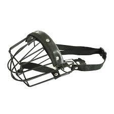 Ab 50€ portofrei, versand innerhalb 24h, 100 tage retoure, über 1 mio. Focinheira Para Caes Aco NÂº 06 Tudo De Bicho Pet Shop