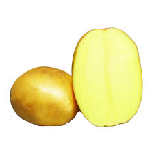 Bon Gratuit Potager Pomme De Terre Astuces Plants De Pomme De Terre Et Bulbes Potagers Ber Pomme De Terre Rouge Pomme De Terre Pommes De Terre Bleues