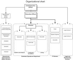 Organizational Structure