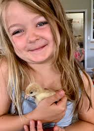 Daily Blog: June 2019