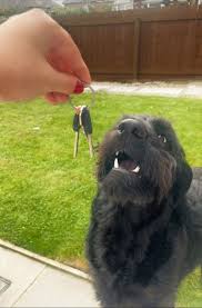 Life update 🏡 I recently moved into a house after living in my flat for 2… 