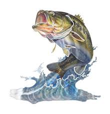 Found in all major oceans, the great. Bass Jumping Metal Wall Art Metal Fish Wall Art 3d Metal Wall Art Fish Art