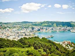 Ten Spectacular Walks To Tick Off Your Bucket List In And Around Wellington Concrete Playground
