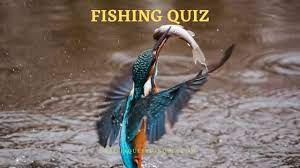 I had a benign cyst removed from my throat 7 years ago and this triggered my burni. 105 Fishing Quiz To Improve General Knowledge Trivia Qq