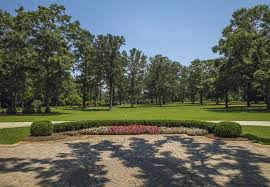 Browse our wide selection of beautiful accent trees, flowering shrubs, perennials & more. The 11 Best Shade Trees And Flowering Trees For Lawns In Georgia
