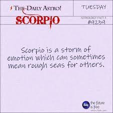 Lol All Scorpios Should Come With This As A Warning Label Better To Take Shelter Let The Crazy Storm Pass It Wil Astrology Facts Cool Words Scorpio Daily
