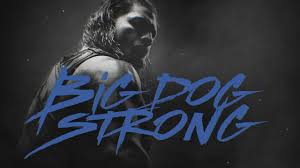 The big dog@romanreigns 🇼🇸 follow @bigdog._empire. Roman Reigns Encourages You To Be Big Dog Strong Youtube