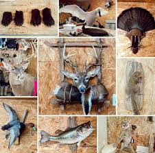 Profile for Yankee's Taxidermy