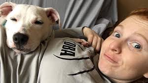 Anarchy Animal Rescue Deaf Dog