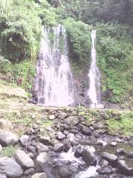 Berikut biaya yang dibutuhkan untuk melakukan perjalanan dari malang ke bali menggunakan rute di atas. Intip Keunikan Air Terjun Kembar Di Banyuwangi Traveling Bisnis Com