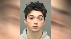 Raleigh 18-year-old gets $1 million bond amid additional child sex crimes  charges