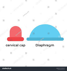 Image result for Cervical Cap