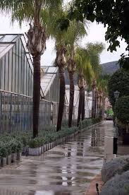 Cash & Carry de plantas Nuevo Espacio