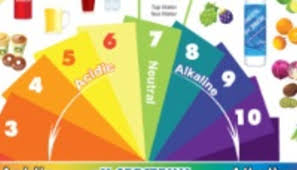 Alkaline Acidic Foods Chart The Ph Spectrum
