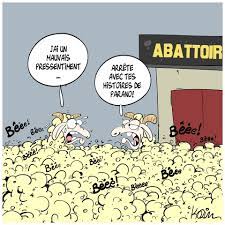 Mes gâteaux aid des sablés hyper fondant, des boules coco, un layer cake, des cupcakes, gâteaux secs, un. La Fete Des Abattoirs Blague Humour Souffrance Animale