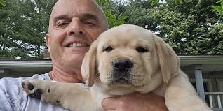 Hampton Police (@HamptonNHPD)