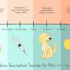 Penny paws mobile vaccination clinics are a huge help to our family that allows us to get our dogs vaccinated at a reasonable cost and keep them healthy. 1