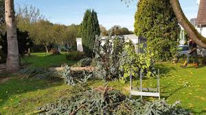 Sei es, dass sie einem buchstäblich über den kopf wachsen, das laub harken nervt oder dass man den baum gar nicht selbst gepflanzt hat und ihn sowieso nie leiden mochte. Baum Fallen Im Garten Youtube