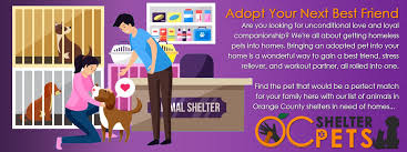 Pet rehoming network offers dogs & puppies for private adoption by owner. Pets For Adoption In Orange County Shelters Oc Shelter Pets