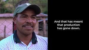 Ravaged by Drought, a Honduran Village Faces a Choice: Pray for Rain or  Migrate