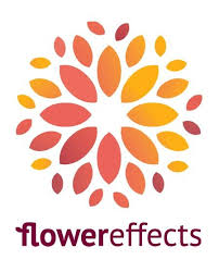 Flower Effects Logo By Swinburne Student Seviora Seviora Faculty Of Design Communication Desig Identity Design Logo Logo Inspiration Branding Identity Design