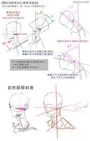 脊椎04 頭頸m 解剖学 イラストの手法 人体