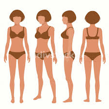 If you've practiced capturing energy in the previous tutorial, you'll have acquired a good feel for loose sketching of people. Human Body Anatomy Front Back Side View Vector Woman Illustration Indivstock