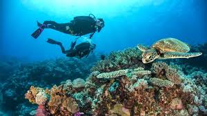 Pin On Travel Australia