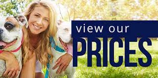 Maybe you would like to learn more about one of these? Dog Walking Business Pet Sitter Pet Sitting Insurance Narps Uk