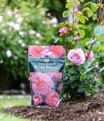 May is a wonderful month, enhanced by the uplifting serene, perfect green of all the wonderful new leaves, as they open on trees and shrubs, and the expectation and hope of the arrival of rose and peony flowers. Shop Online