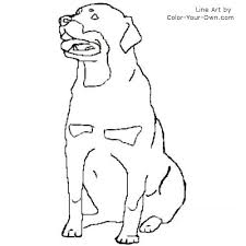 Rottweiler Coloring Page Dog Line Art Puppy Drawing Dog Coloring Page