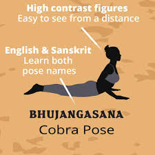 An asana is a posture, whether for traditional hatha yoga or for modern yoga; Yoga Poses Poster With Pose Names In Both English And Sanskrit Dekali Designs