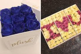 Send diwali sweets, valentine's day gifts or mother's day flowers to india, we deliver all and on time. Order Luxury Roses In A Box From Plush Lbb Bangalore
