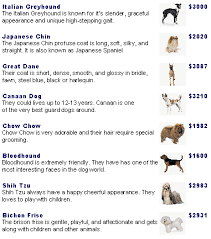 Pet shop near me dog price list. Price List Dog